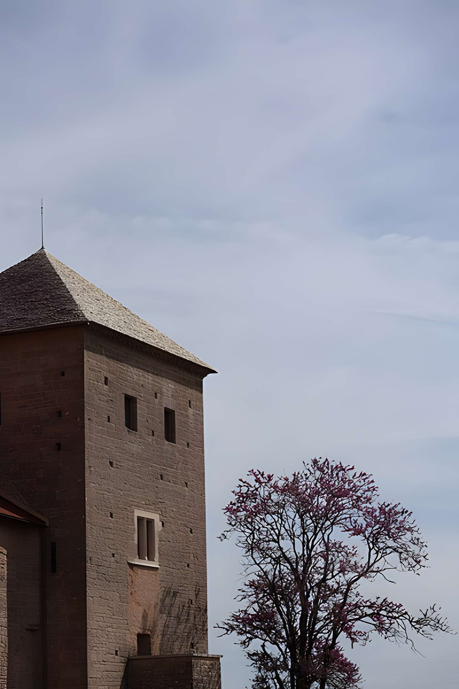 Château de Gevrey-Chambertin
