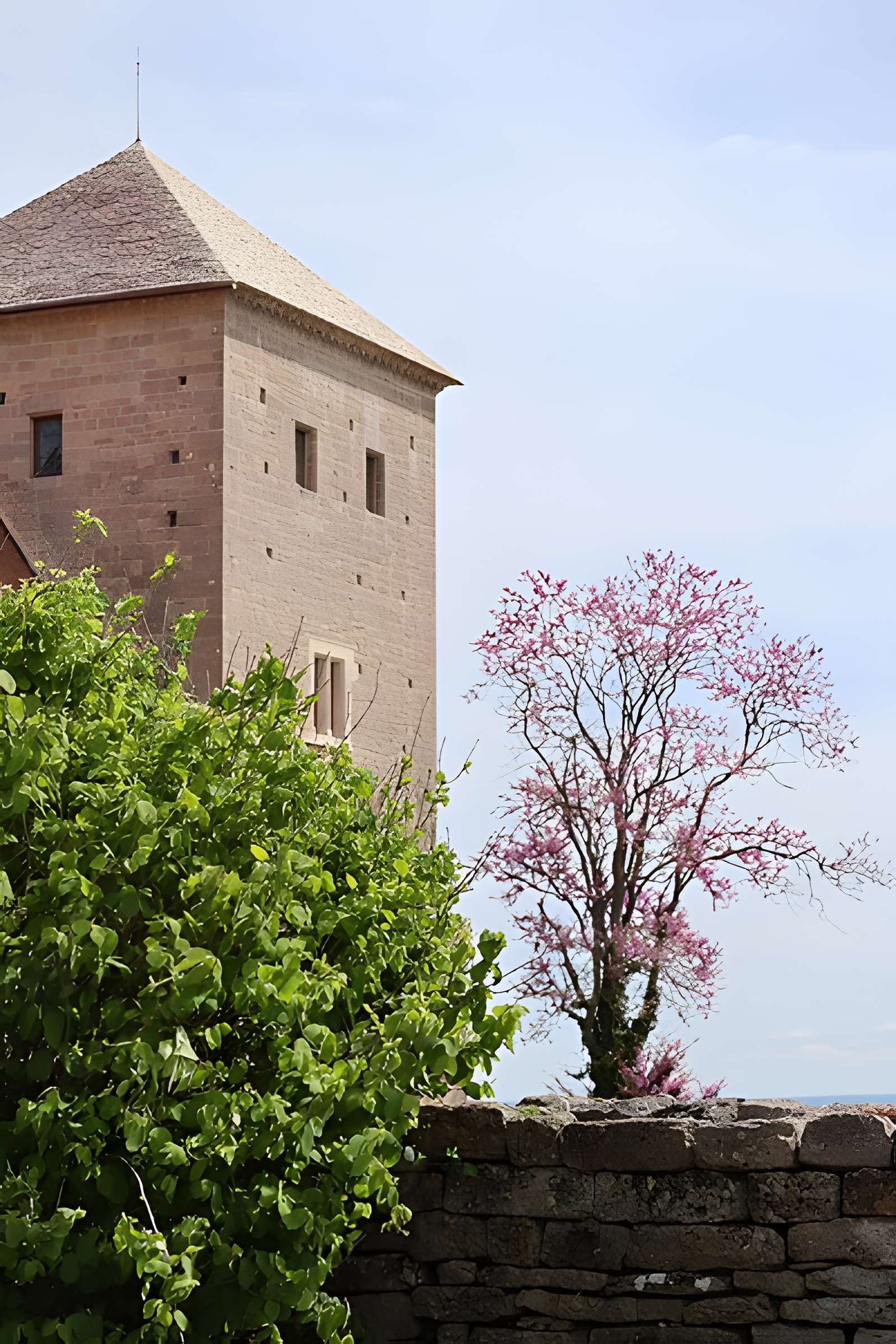 Château de Gevrey-Chambertin