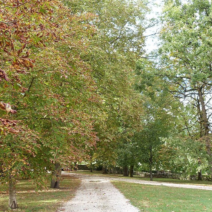 Photo de Château de Ginals