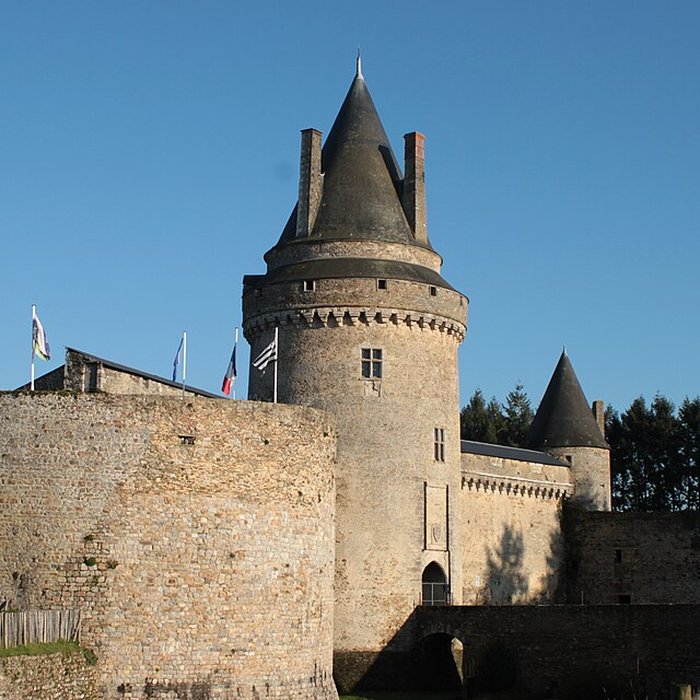 Photo de Château de la Groulais