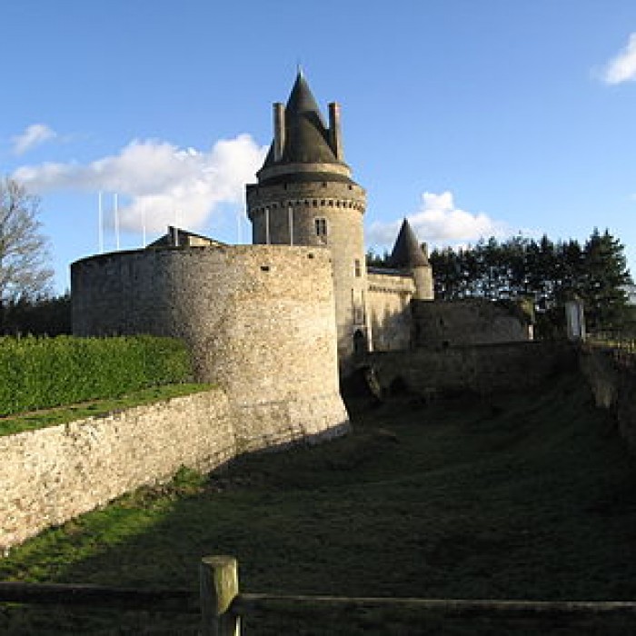 Photo de Château de la Groulais