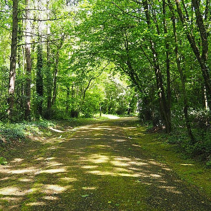 Photo de Château de Granville