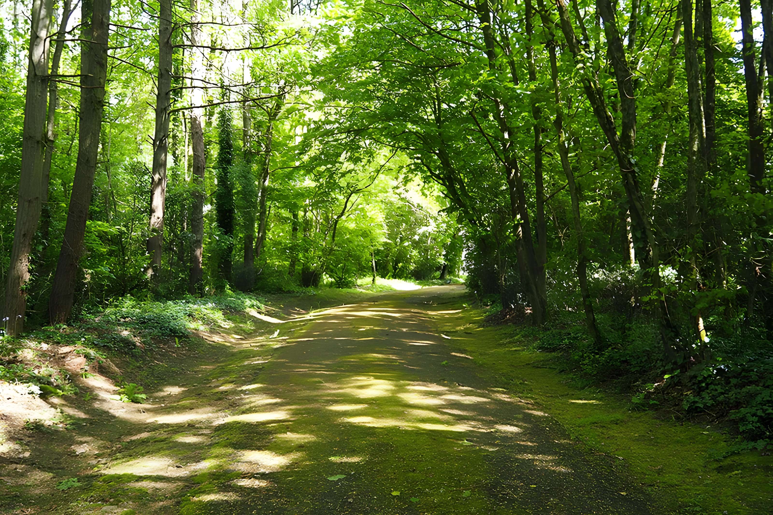 Château de Granville