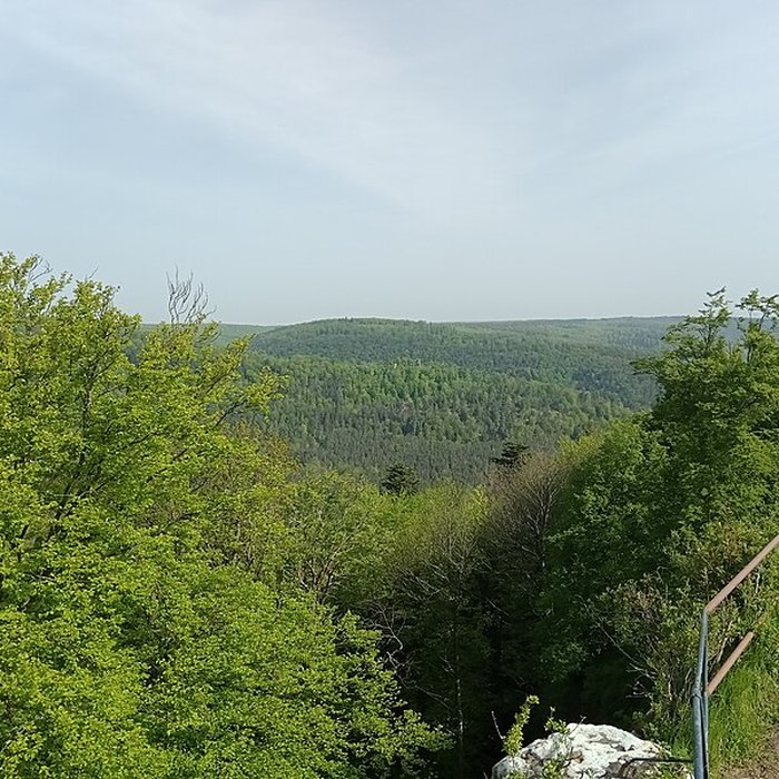 Photo de Château de Greifenstein