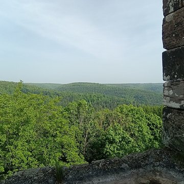 Château de Greifenstein