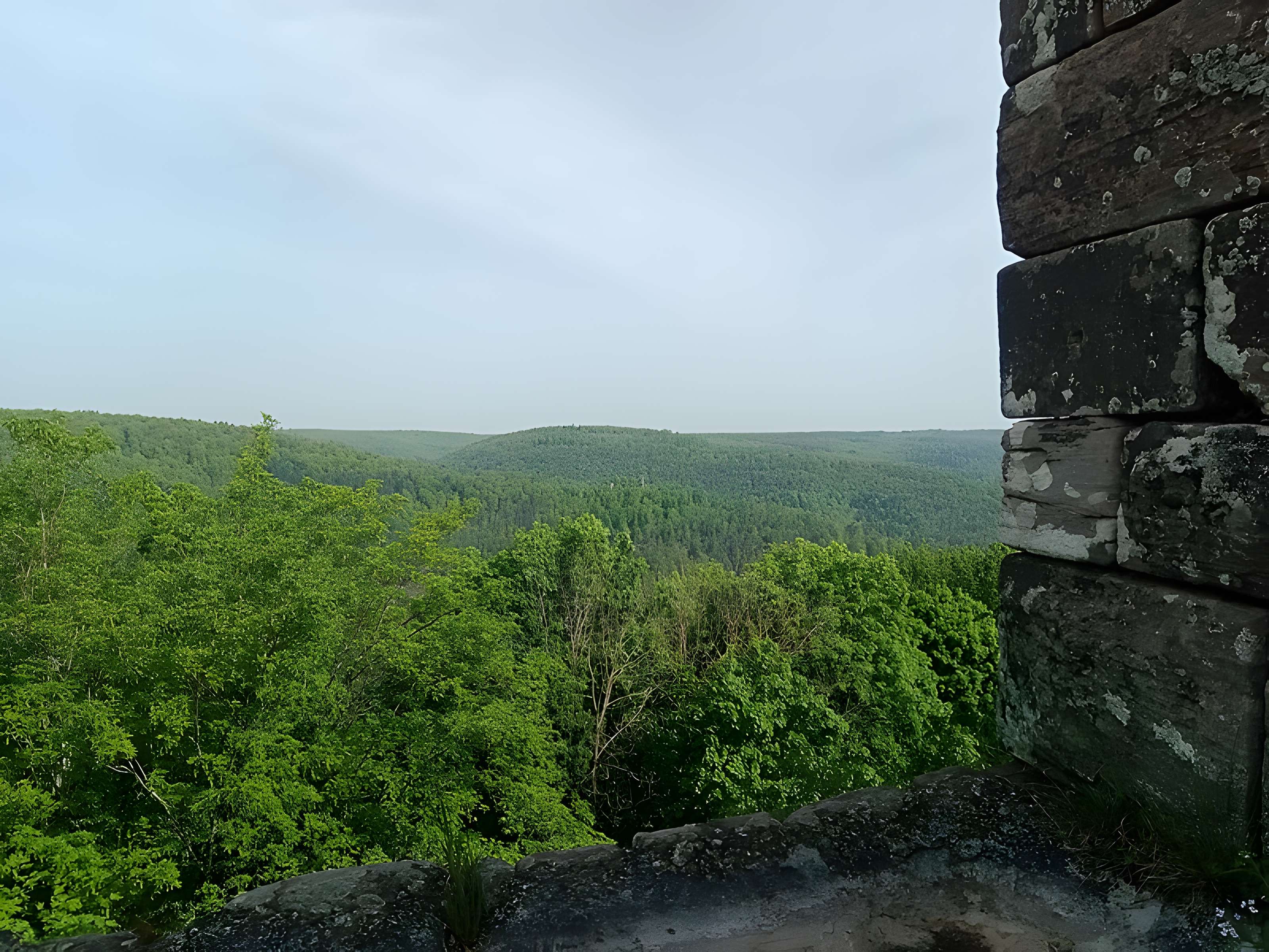 Château de Greifenstein
