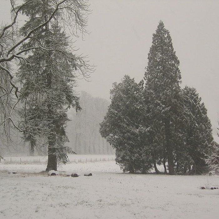 Photo de Château de Grignon