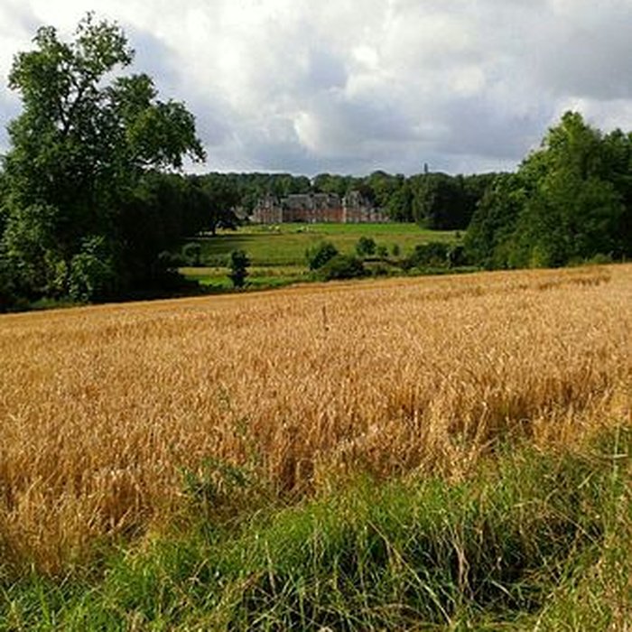 Photo de Château de Grignon