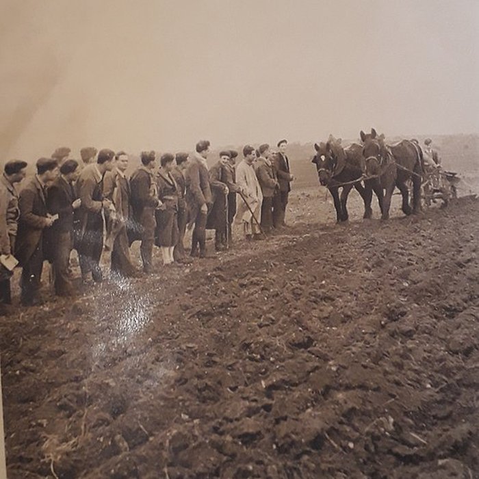 Photo de Château de Grignon