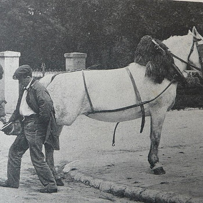 Photo de Château de Grignon