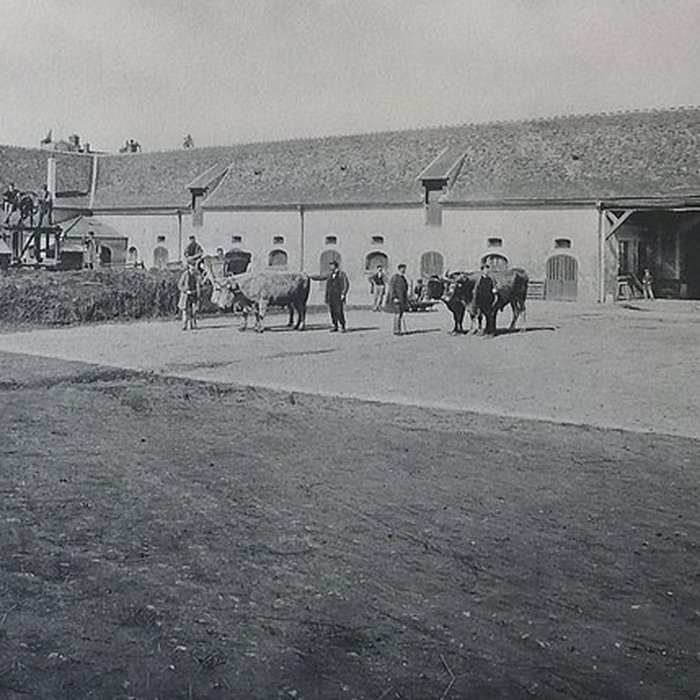Photo de Château de Grignon