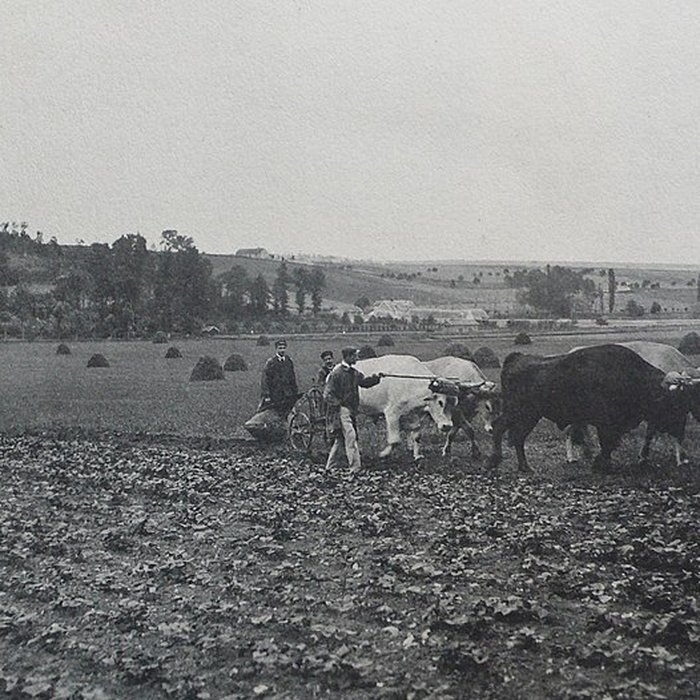 Photo de Château de Grignon