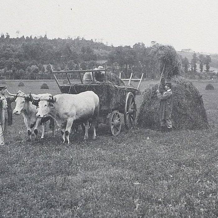 Photo de Château de Grignon