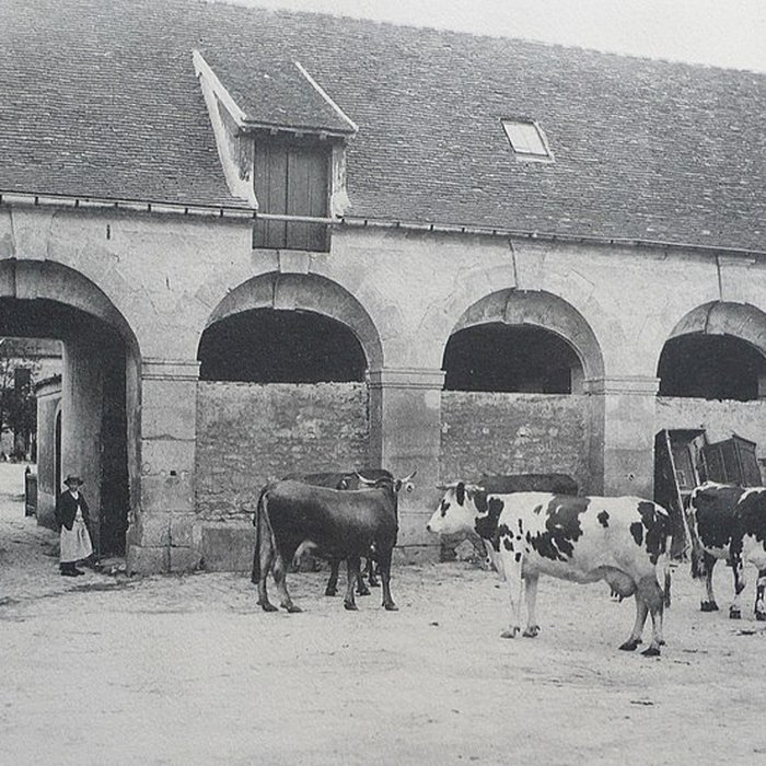 Photo de Château de Grignon
