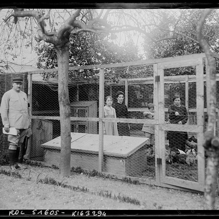 Photo de Château de Grignon