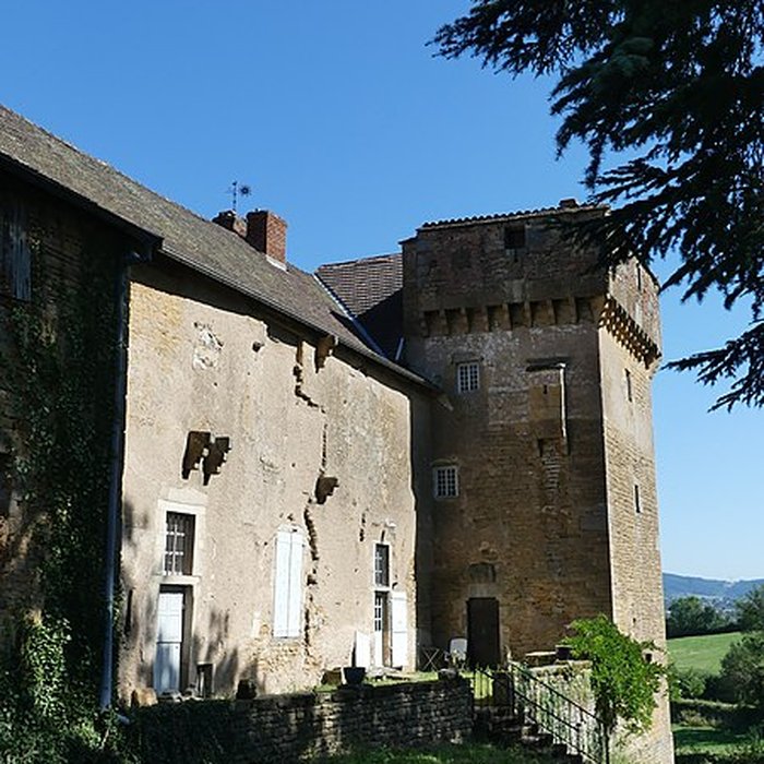 Photo de Château de Gros-Chigy