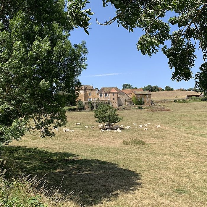 Photo de Château de Gros-Chigy