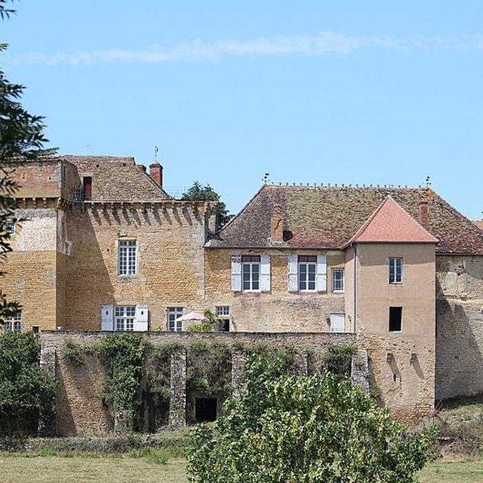 Photo de Château de Gros-Chigy