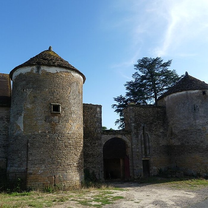 Photo de Château de Gros-Chigy