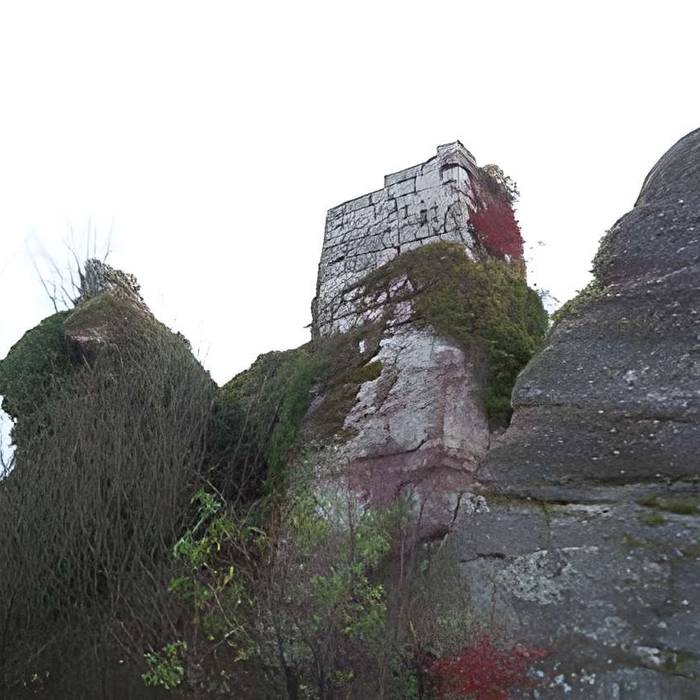 Photo de Ruines du château Ringelsboug