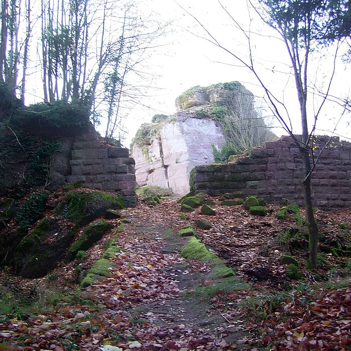 Photo de Ruines du château Ringelsboug