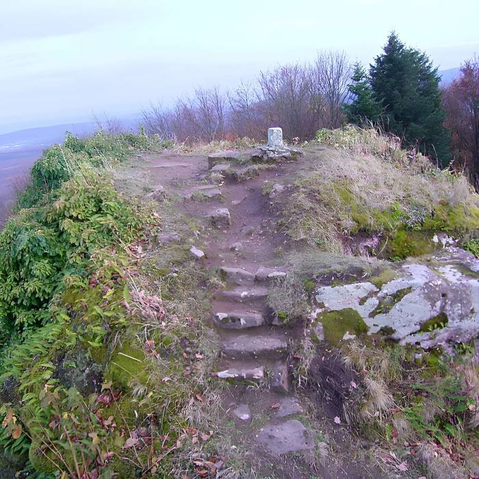Photo de Ruines du château Ringelsboug