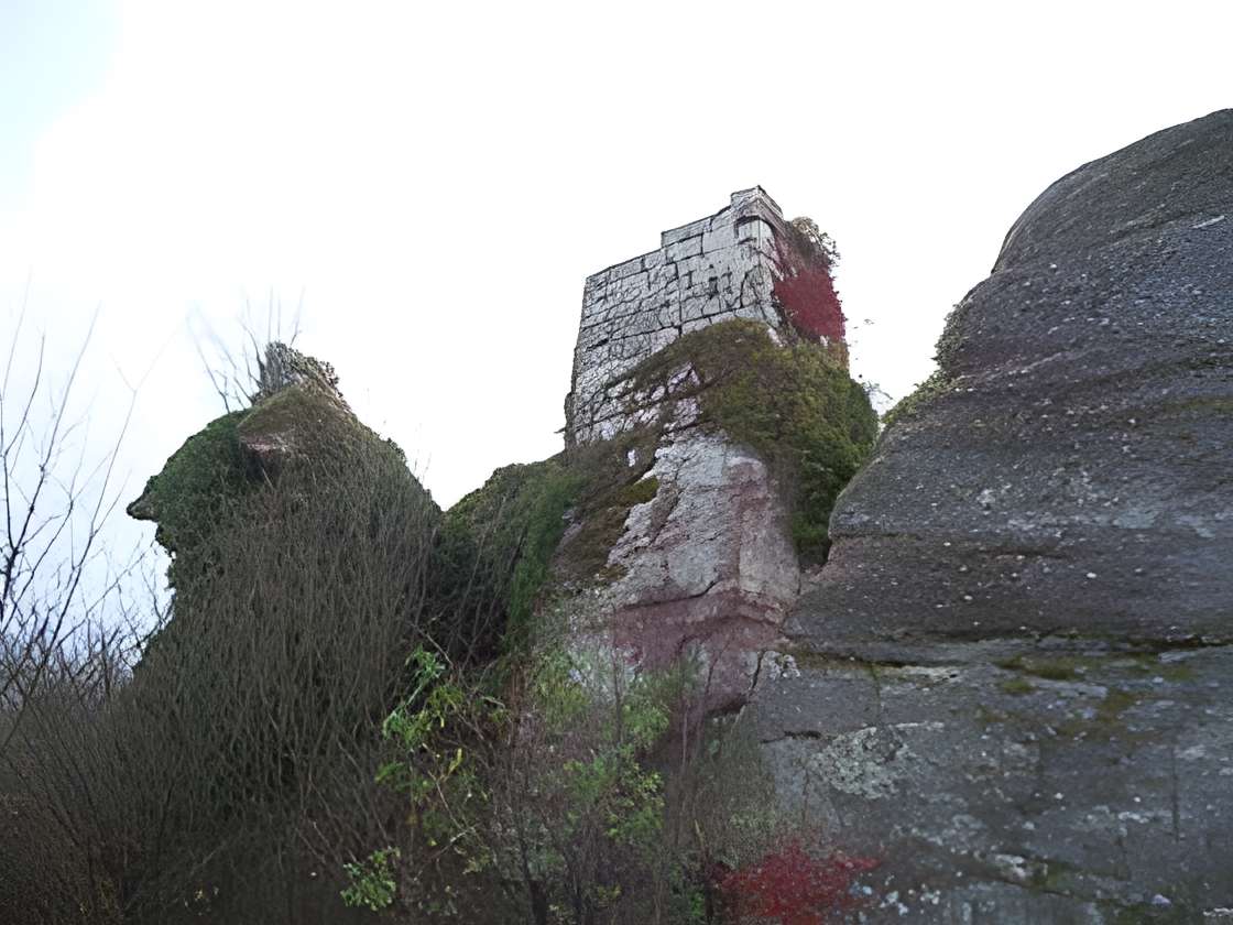 Ruines du château Ringelsboug