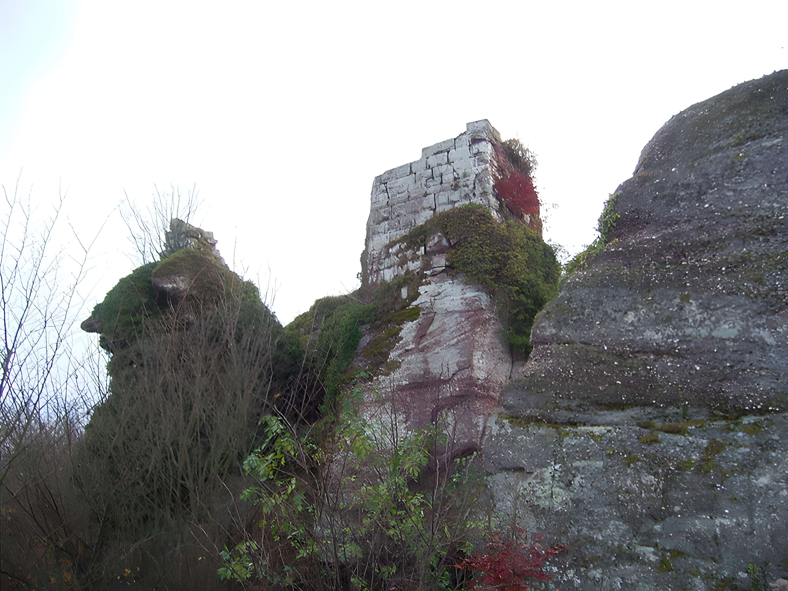 Ruines du château Ringelsboug