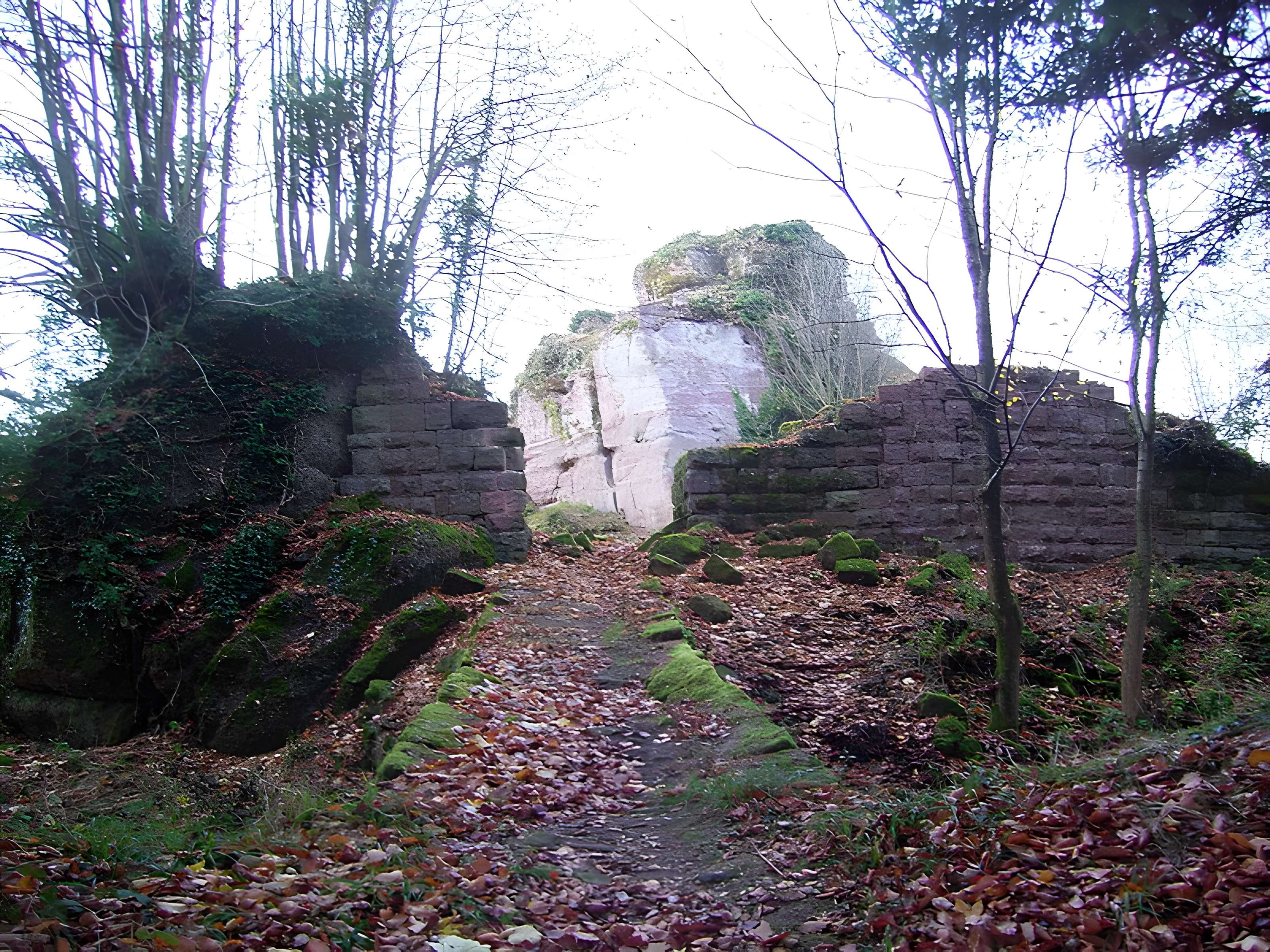 Ruines du château Ringelsboug