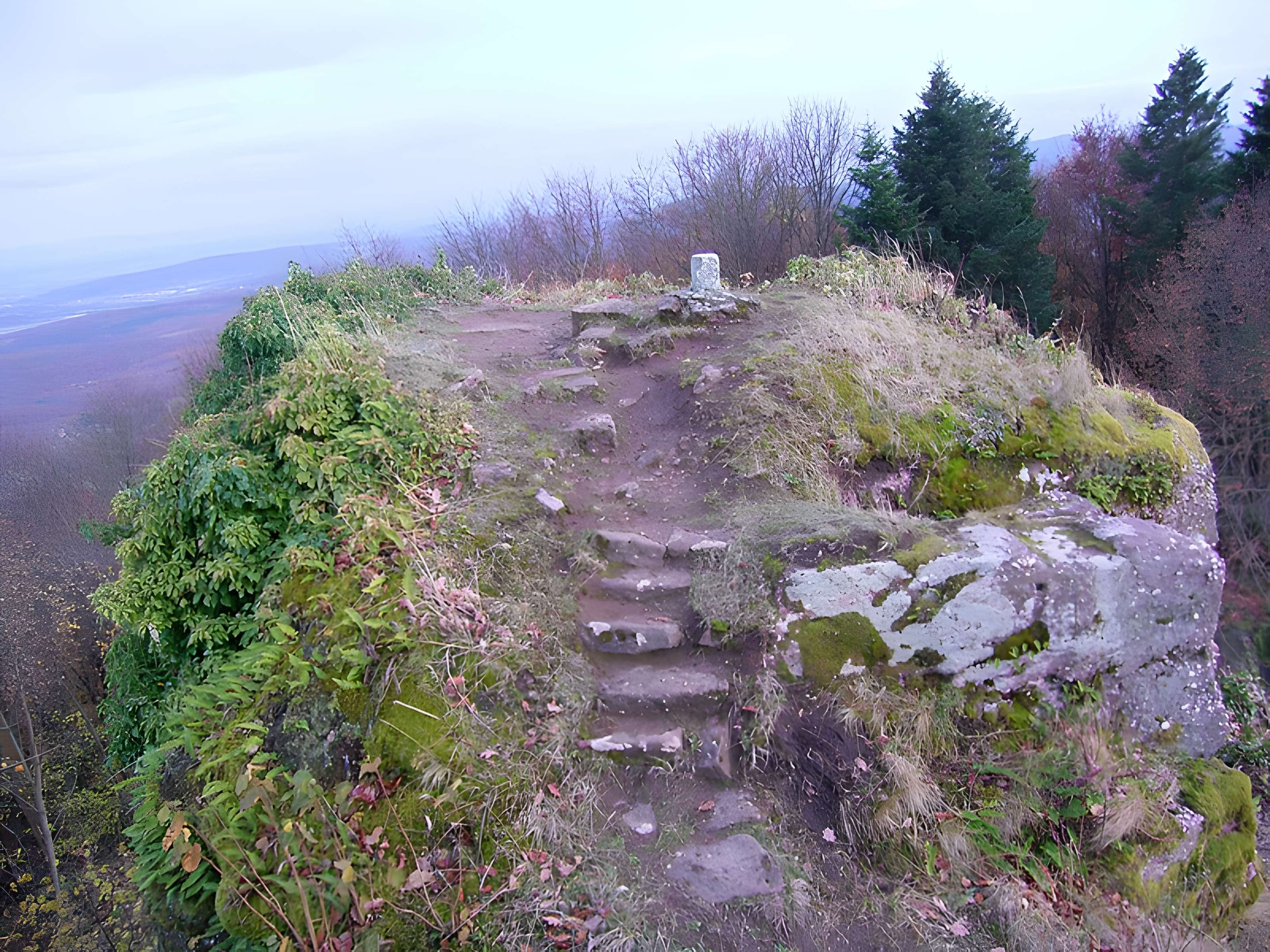 Ruines du château Ringelsboug