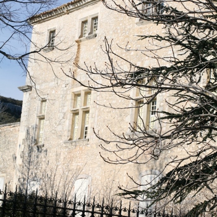 Photo de Château de Javon