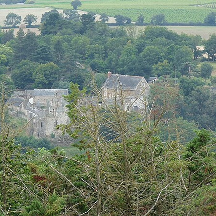 Photo de Château de la Haute-Guerche