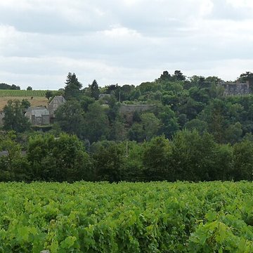 Château de la Haute-Guerche