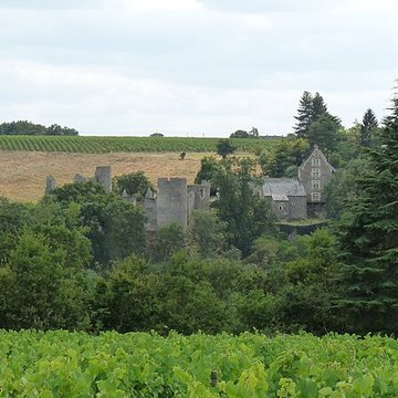 Château de la Haute-Guerche