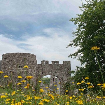 Château de la Haute-Guerche