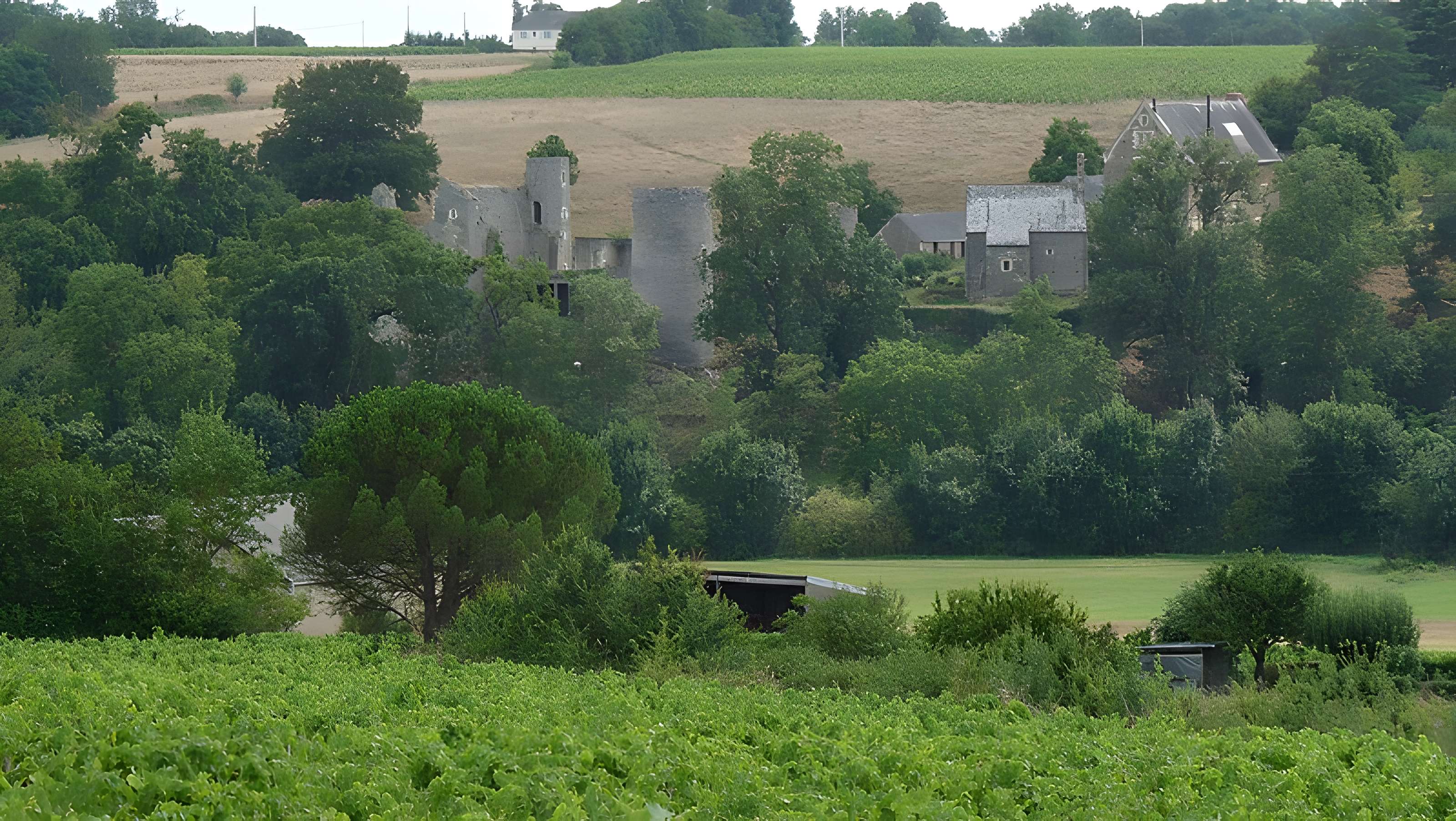 Château de la Haute-Guerche