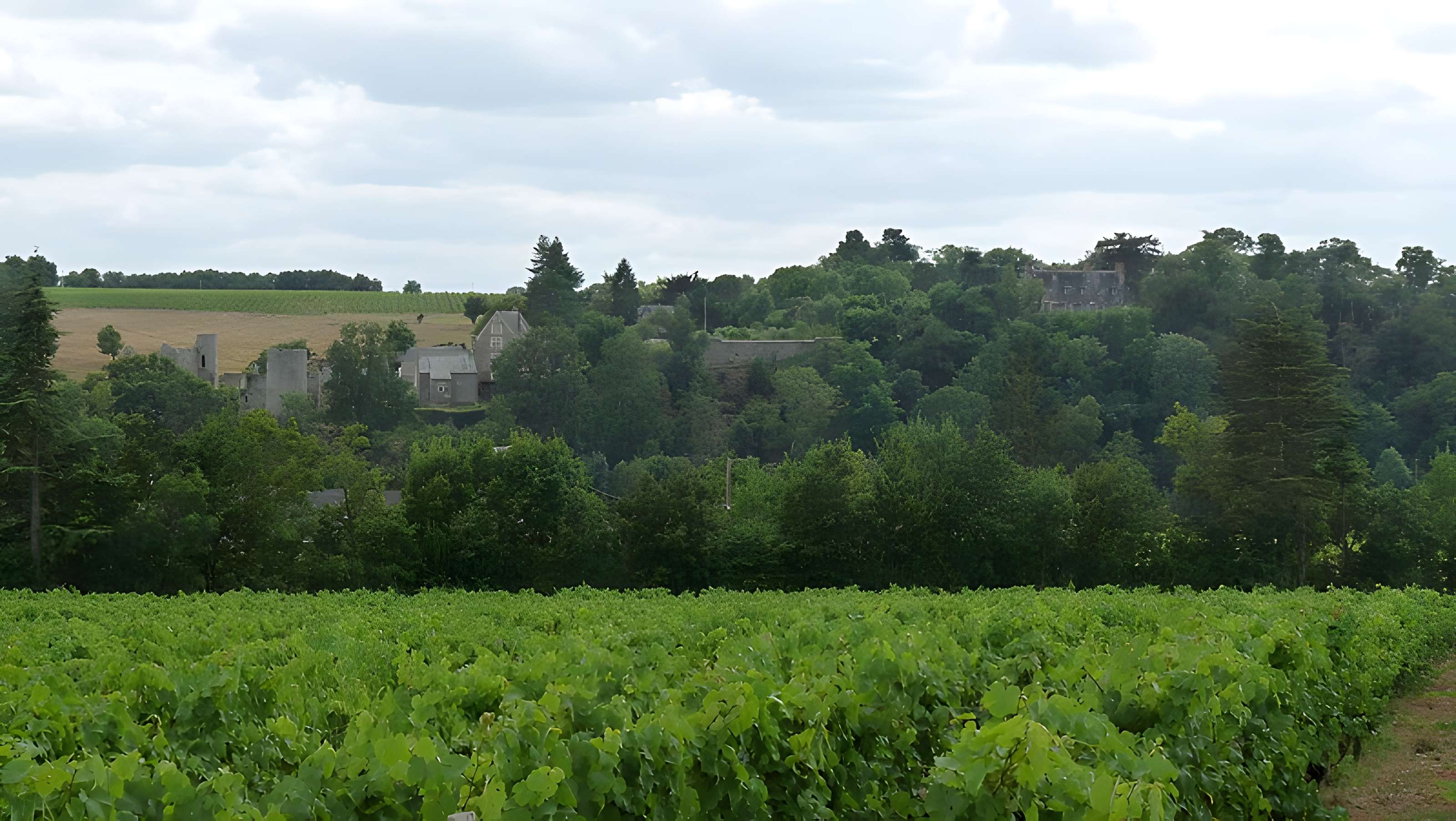 Château de la Haute-Guerche