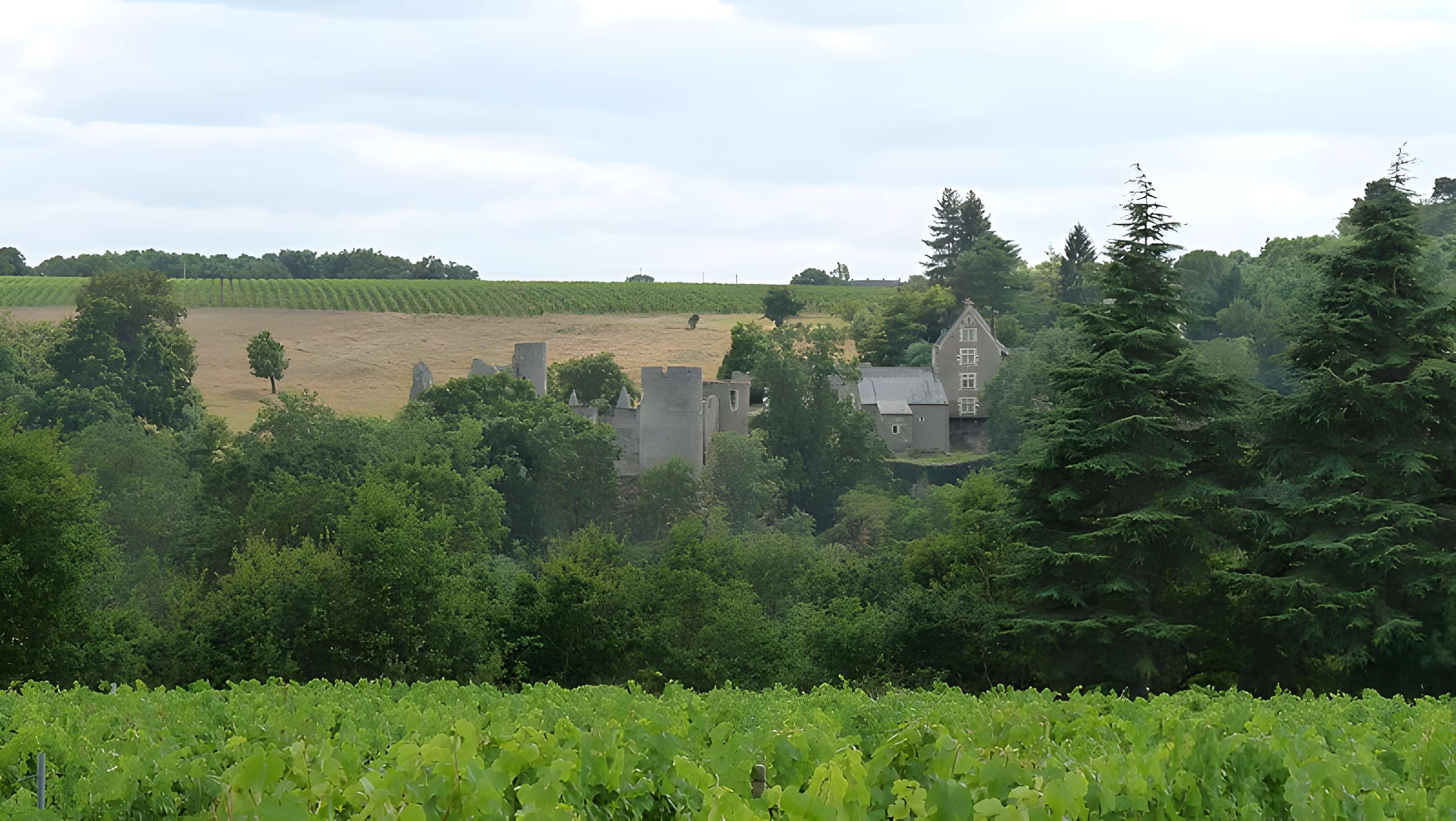 Château de la Haute-Guerche