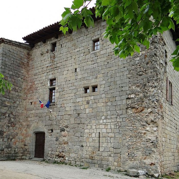 Photo de Château de Joannas