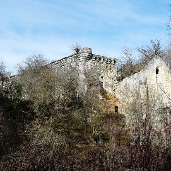Photo de Ruines du château de Jovelle