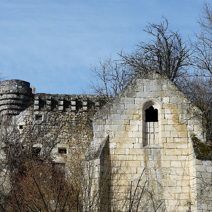 Photo de Ruines du château de Jovelle