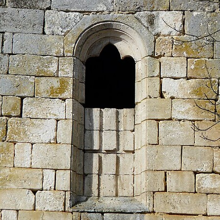 Photo de Ruines du château de Jovelle