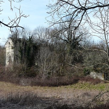 Ruines du château de Jovelle