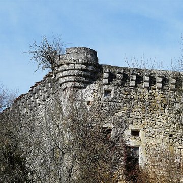 Ruines du château de Jovelle