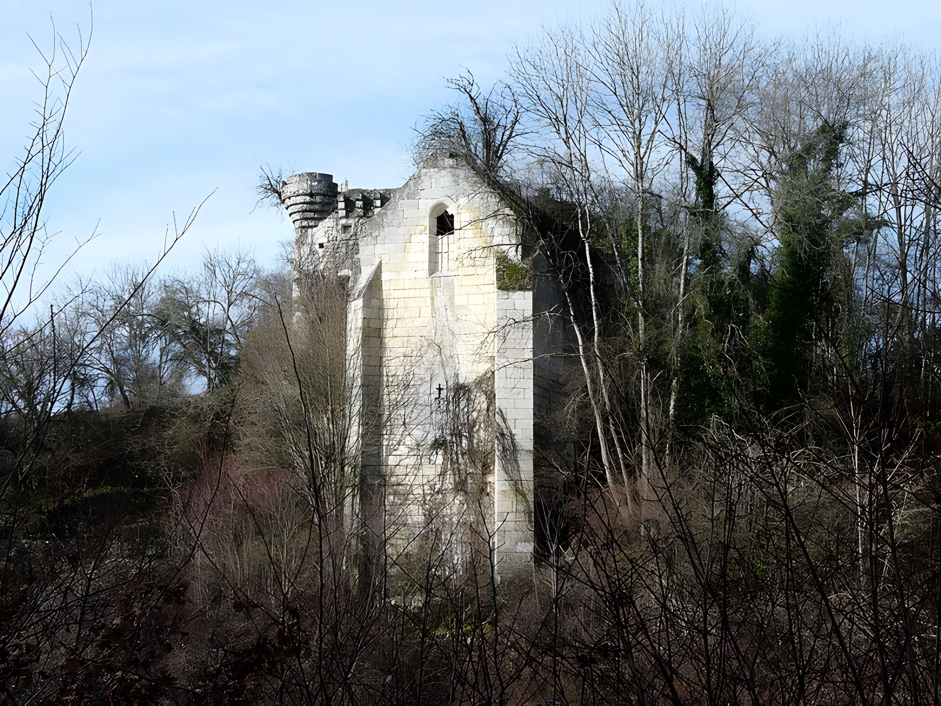 Ruines du château de Jovelle
