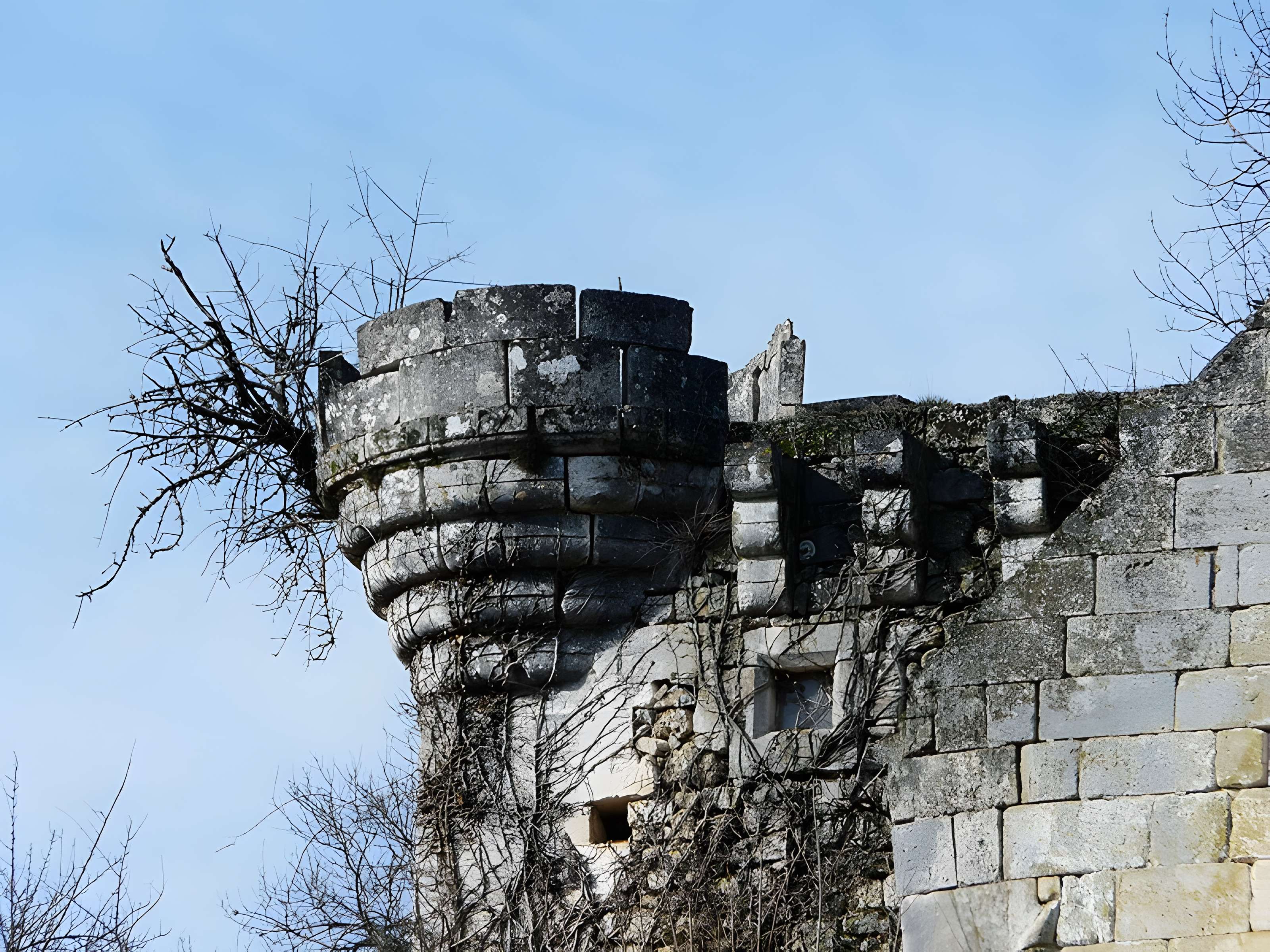 Ruines du château de Jovelle