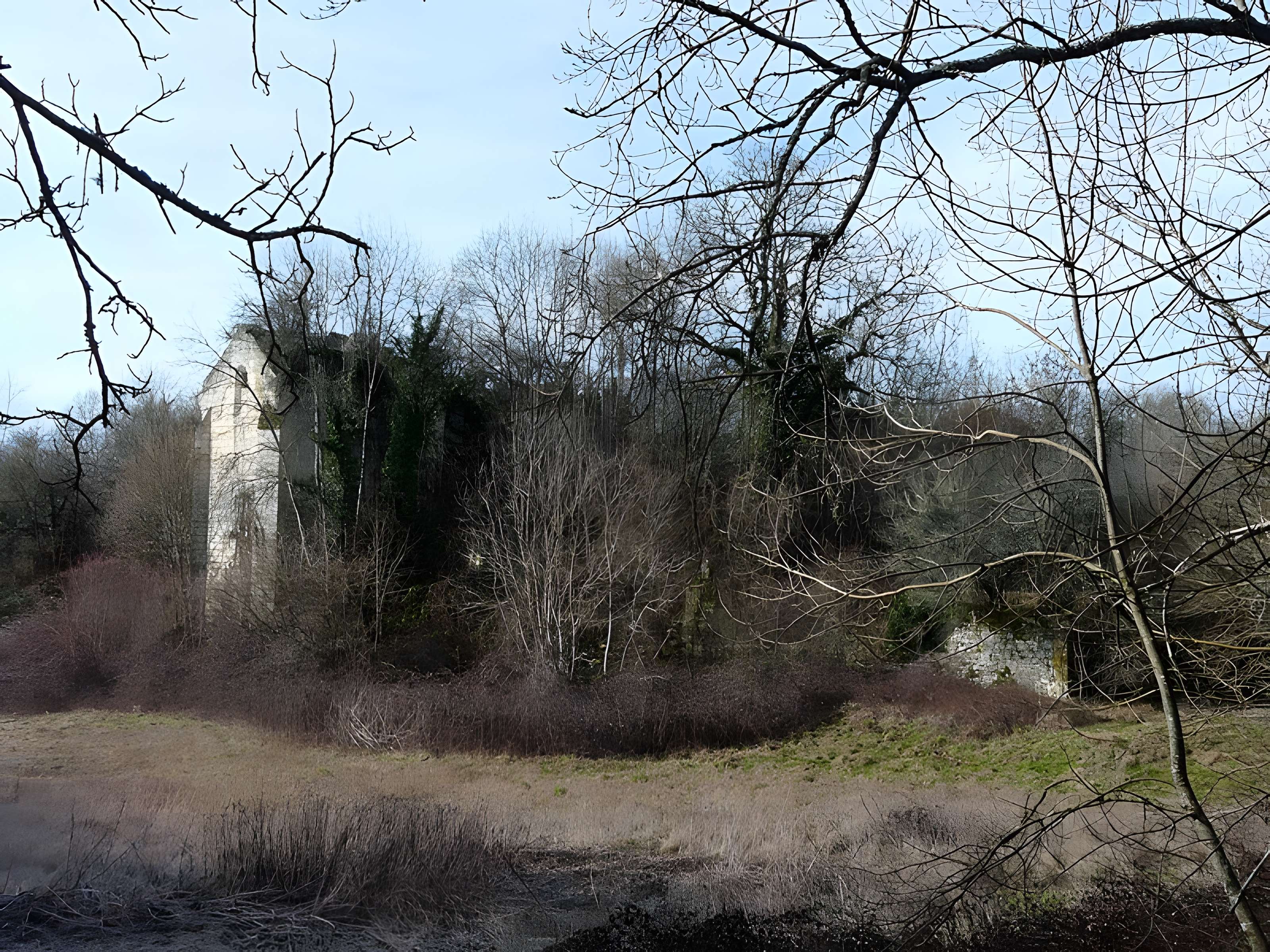 Ruines du château de Jovelle