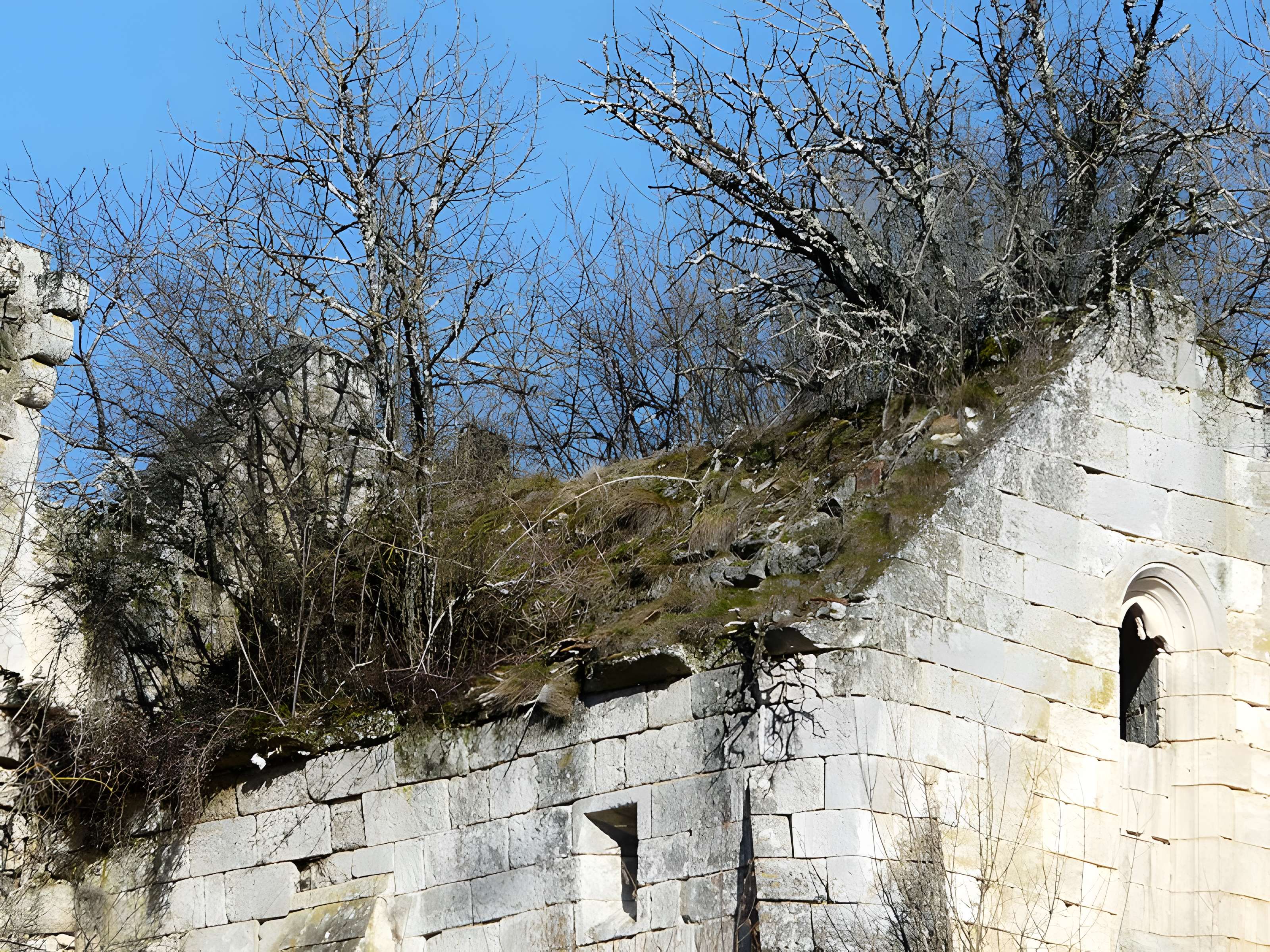 Ruines du château de Jovelle