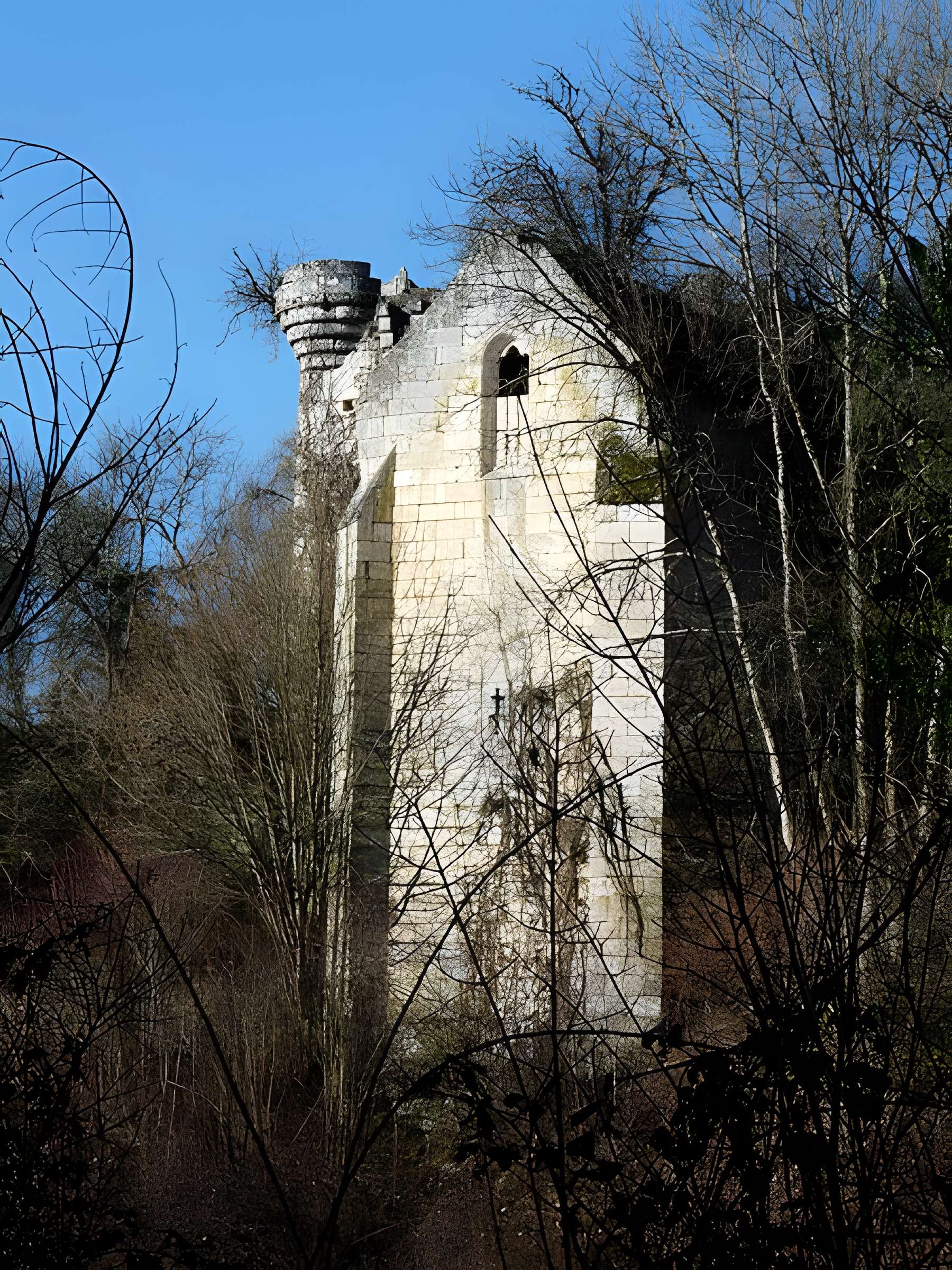 Ruines du château de Jovelle