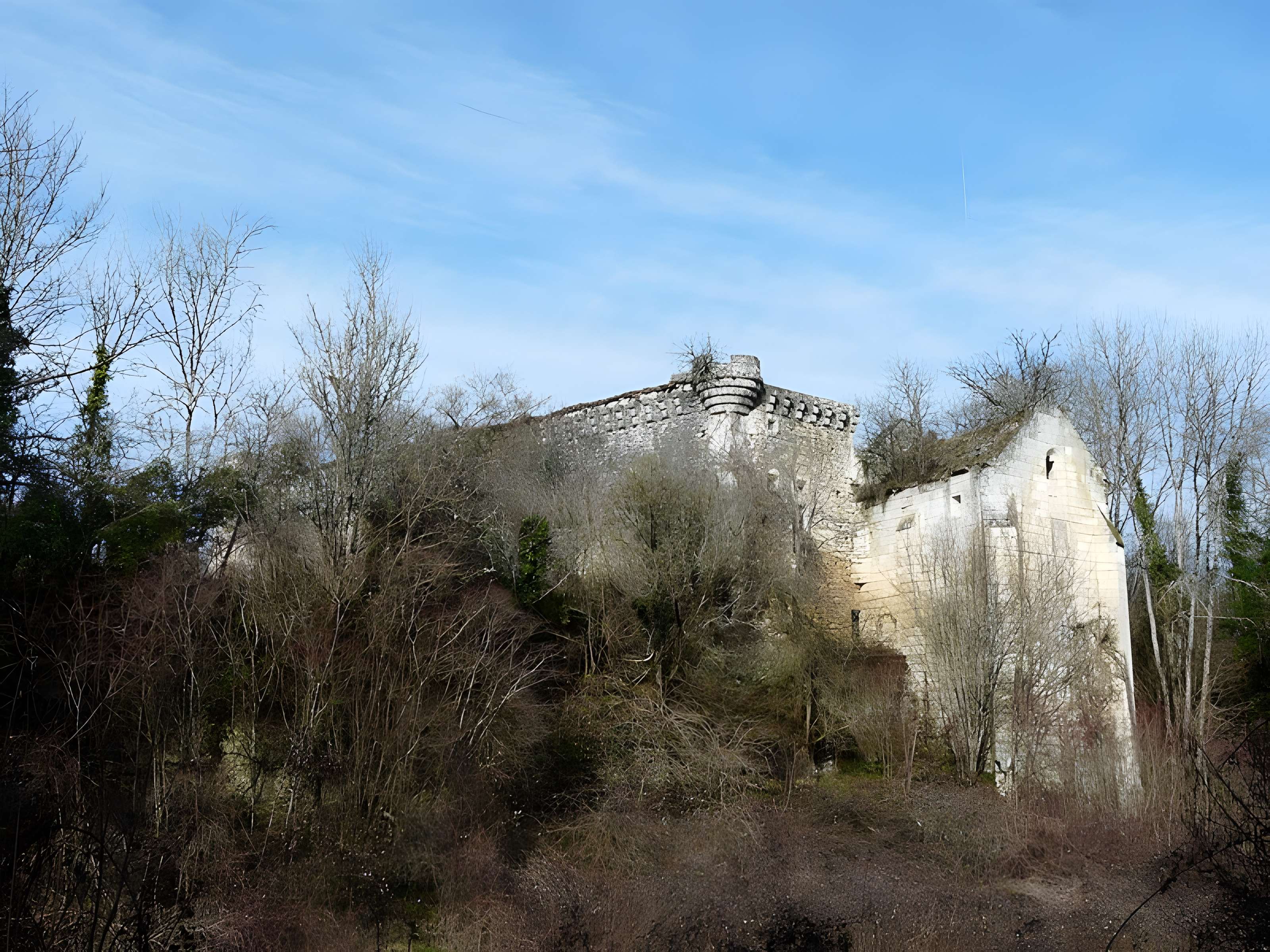 Ruines du château de Jovelle